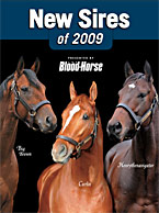 Thoroughbred Sires: New Stallions for 2009