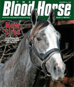 Thoroughbred Sires: New Stallions for 2010