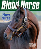 Thoroughbred Sires: New Stallions for 2011