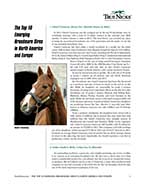 Top 10 Emerging Broodmare Sires in North America and Europe