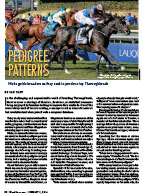 TrueNicks Thoroughbred Pedigree Patterns