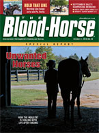 Unwanted Horses: How the Industry is Dealing with Life after Racing