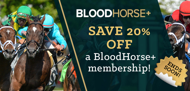 We invite you to enjoy this sampling of a few of the recent exclusives on BloodHorse+