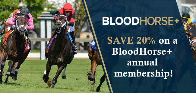 We invite you to enjoy this sampling of a few of the recent exclusives on BloodHorse+