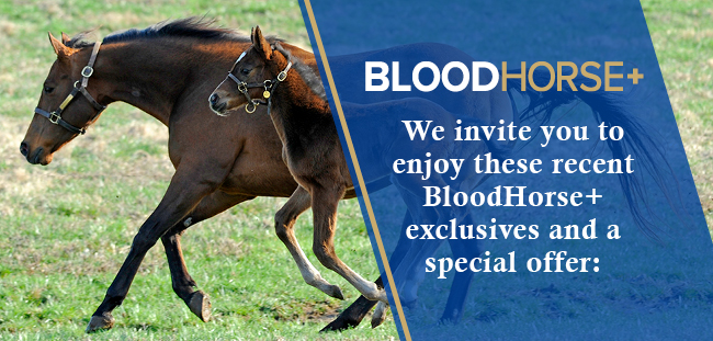 We invite you to enjoy this sampling of a few of the recent exclusives on BloodHorse+
