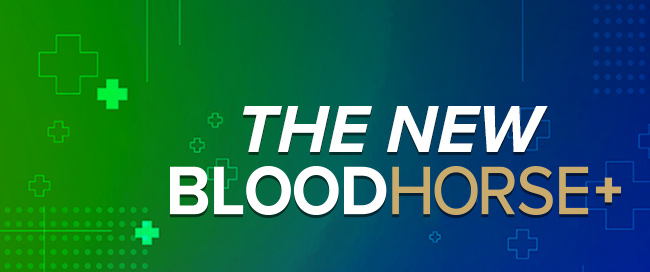 We invite you to enjoy this sampling of a few of the recent exclusives on BloodHorse+