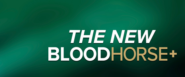 We invite you to enjoy this sampling of a few of the recent exclusives on BloodHorse+