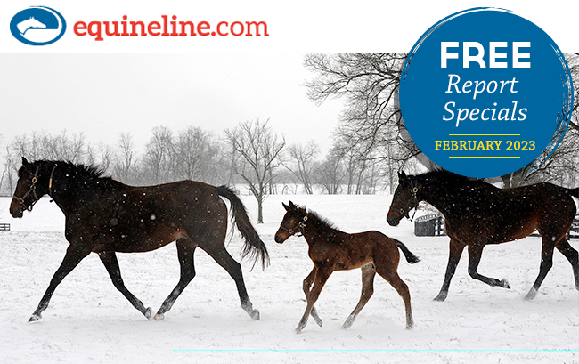 Equineline Free Report Specials