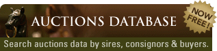 Auctions Database