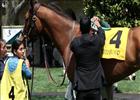 Keeneland Spring Meet Highlights 2013