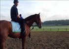 Belmont Stakes: Giant Finish