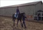 Belmont Stakes: Incognito