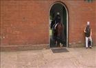Royal Ascot - Danny O'Brien and Shamexpress