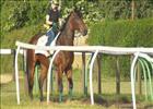 Royal Ascot - Foreman Bryce Heys and Sea Siren