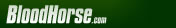 BloodHorse.com